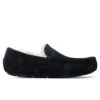 Ugg Ascot Slipper - Black 2 Ugg Ascot Slipper - Black -Shoe Series Store UGG Ascot Slipper Black 1101110 BLK 01 01 2022 01