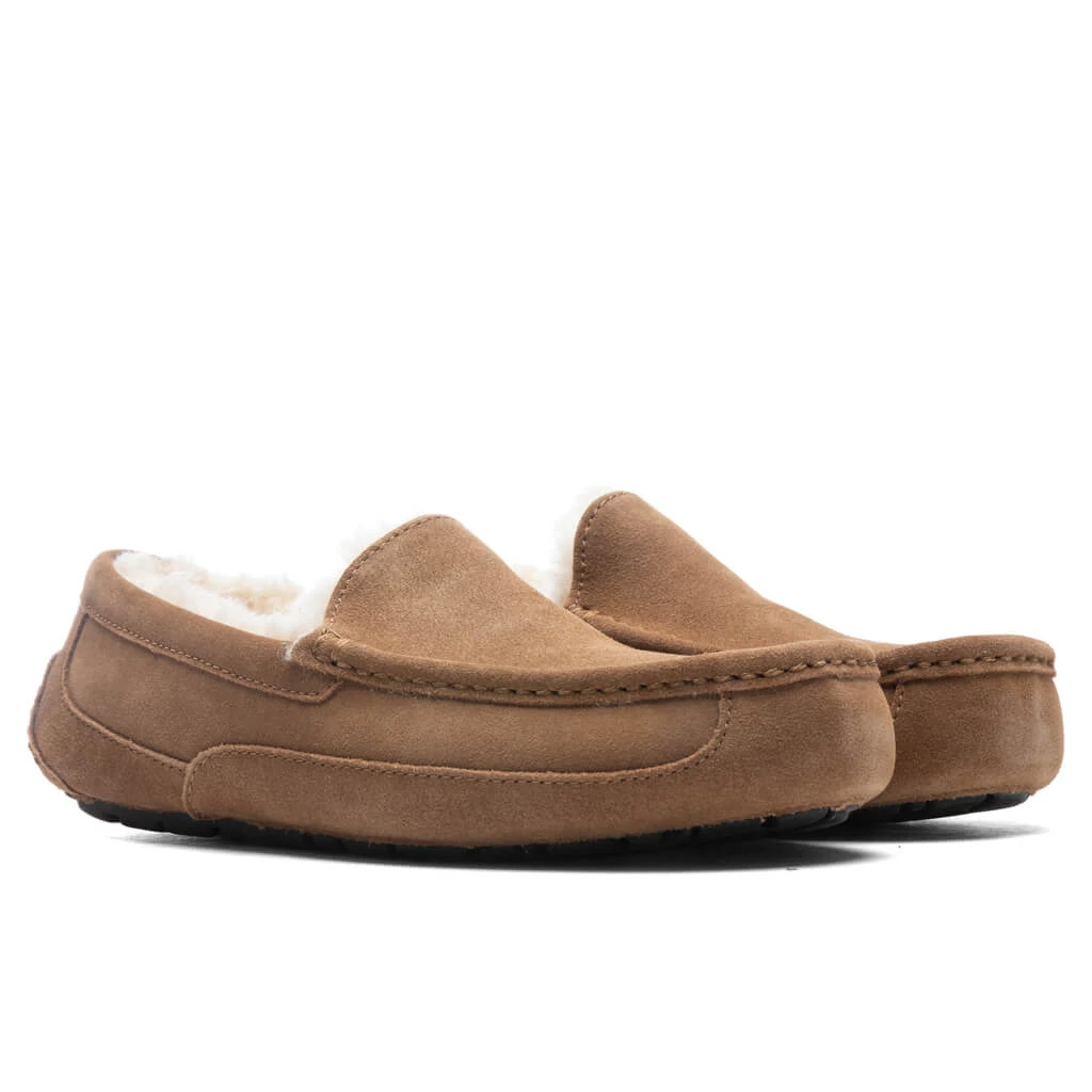 Ugg Ascot Slipper - Chestnut 4 Ugg Ascot Slipper - Chestnut - Image 2