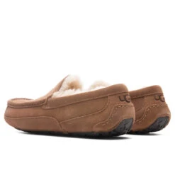 Ugg Ascot Slipper - Chestnut 8 Ugg Ascot Slipper - Chestnut -Shoe Series Store UGG Ascot Slipper Chestnut 1101110 CHE 10 30 2021 01 3
