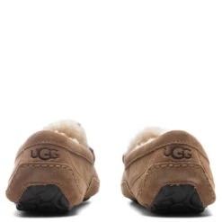 Ugg Ascot Slipper - Chestnut 9 Ugg Ascot Slipper - Chestnut -Shoe Series Store UGG Ascot Slipper Chestnut 1101110 CHE 10 30 2021 01 4