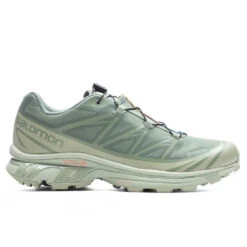 Salomon XT-6 GTX - Desert Sage/Lily Pad/Laurel Wren